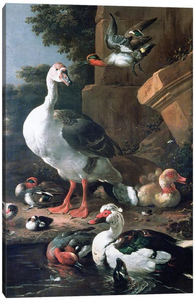 Waterfowl in a classical landscape, 17th century Canvas Art Print