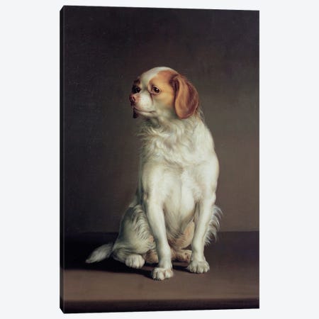 Portrait of a King Charles Spaniel Canvas Print #BMN257} by Louis Leopold Boilly Canvas Art