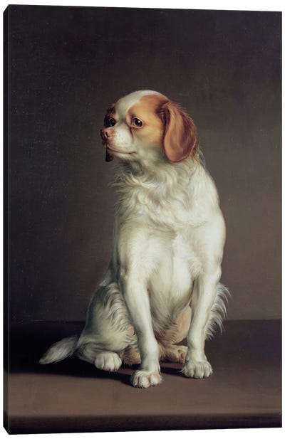 Portrait of a King Charles Spaniel Canvas Art Print