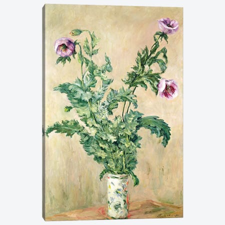 Poppies, c.1882  Canvas Print #BMN2584} by Claude Monet Canvas Wall Art