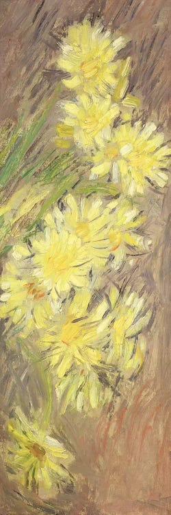 Marguerites Jaunes, 1883-84 