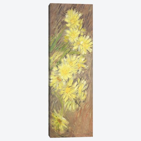 Marguerites Jaunes, 1883-84  Canvas Print #BMN2585} by Claude Monet Canvas Wall Art