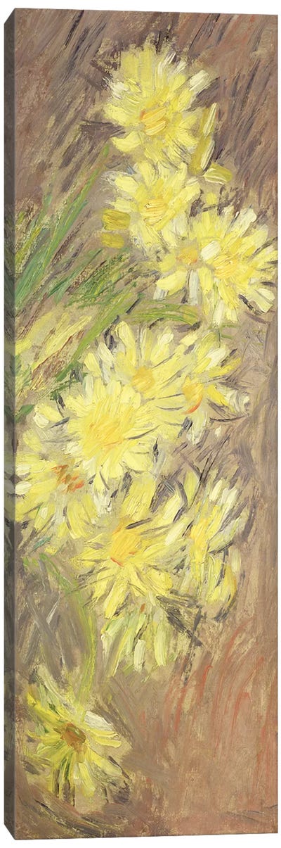 Marguerites Jaunes, 1883-84  Canvas Art Print - All Things Monet