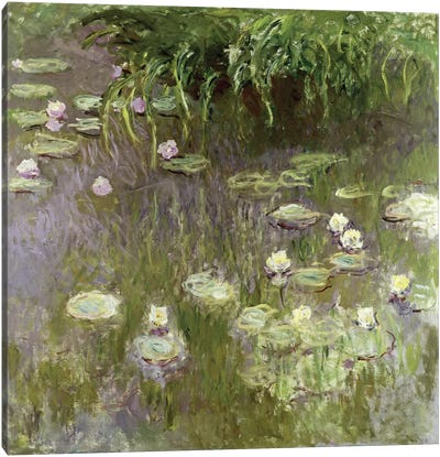 Waterlilies at Midday, 1918  Canvas Art Print - Lily Art