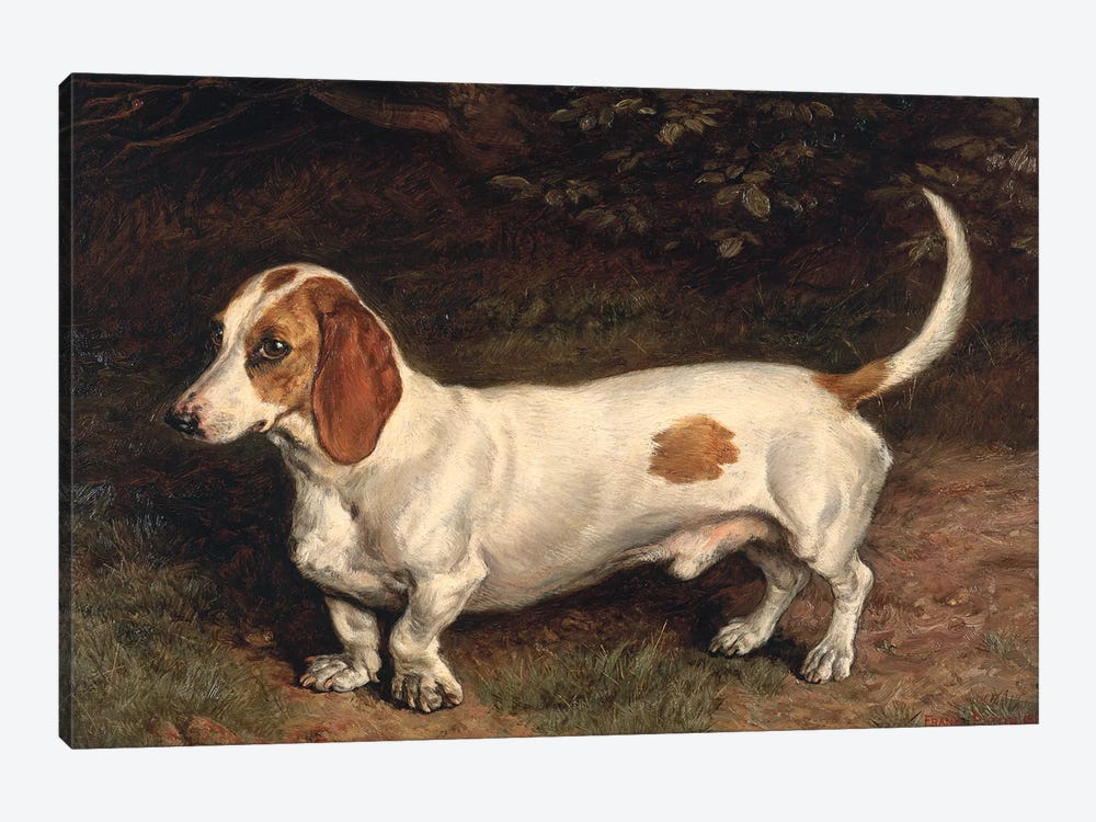 A Favourite Dachshund  by Frank Paton 1-piece Canvas Wall Art