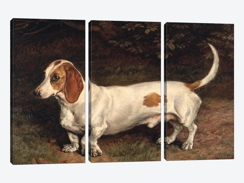 A Favourite Dachshund  by Frank Paton 3-piece Canvas Wall Art