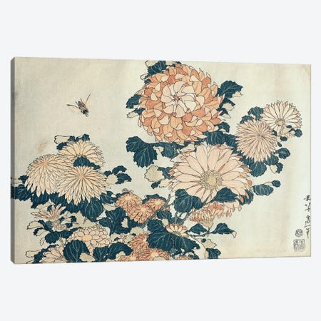 Chrysanthemums  Canvas Print #BMN2639} by Katsushika Hokusai Canvas Art Print
