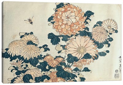 Chrysanthemums  Canvas Art Print - Katsushika Hokusai