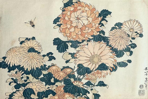 Ukiyo-e: Chrysanthemums  by Katsushika Hokusai
