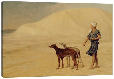 On the Desert  Canvas Art Print