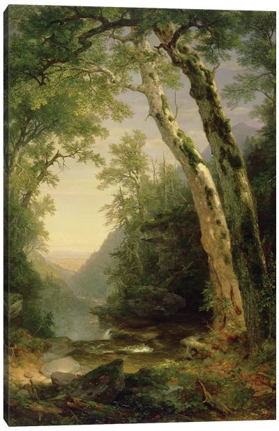 The Catskills, 1859  Canvas Art Print