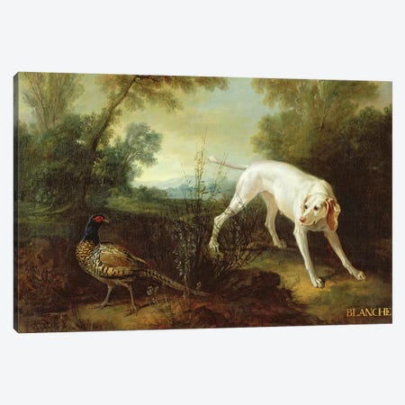 Blanche, Bitch of the Royal Hunting Pack  Canvas Print #BMN2684} by Jean-Baptiste Oudry Art Print