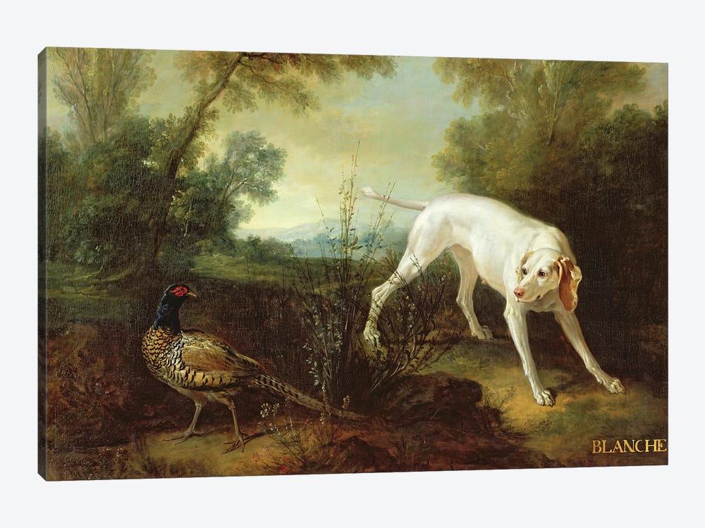 Blanche, Bitch of the Royal Hunting Pack  by Jean-Baptiste Oudry 1-piece Art Print