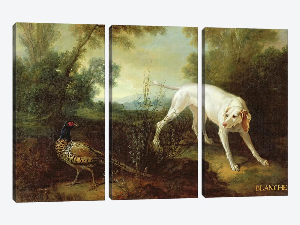 Blanche, Bitch of the Royal Hunting Pack  by Jean-Baptiste Oudry 3-piece Canvas Art Print