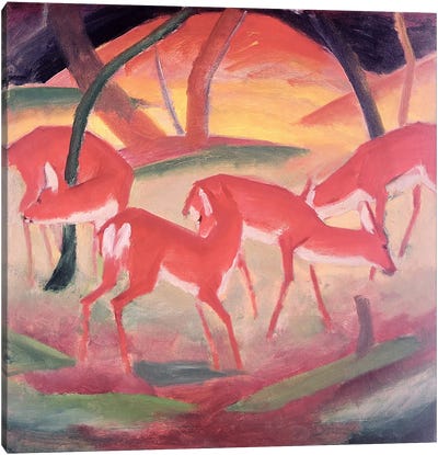 Deer  Canvas Art Print - Franz Marc