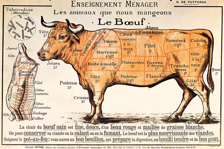 Beef: diagram depicting the different cuts of meat 