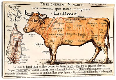 Beef: diagram depicting the different cuts of meat  Canvas Art Print - French School