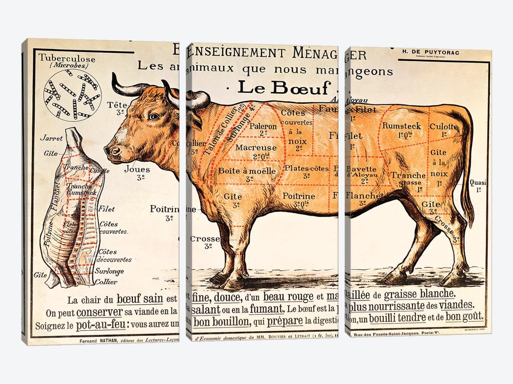 Beef: diagram depicting the different cuts of meat  by French School 3-piece Canvas Art Print