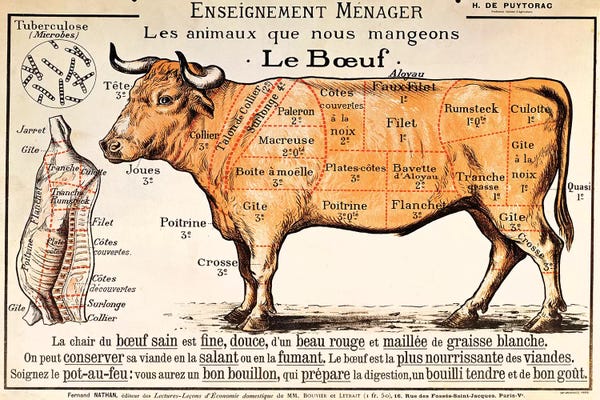 Modern Farmhouse Décor: Beef: diagram depicting the different cuts of meat  by French School