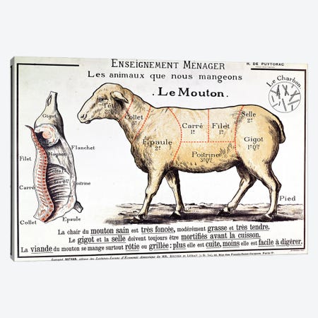 Mutton: diagram depicting the different cuts of meat  Canvas Print #BMN2717} by French School Canvas Art Print
