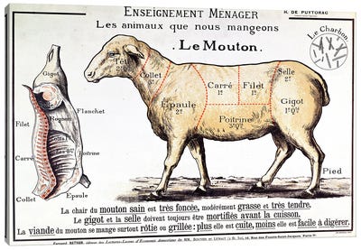 Mutton: diagram depicting the different cuts of meat  Canvas Art Print - French School
