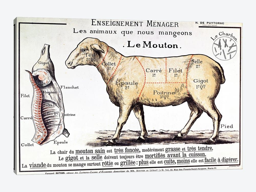 Mutton: diagram depicting the different cuts of meat  by French School 1-piece Canvas Art