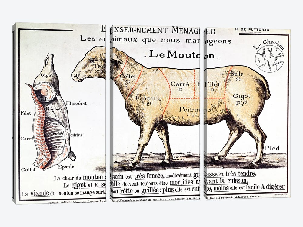 Mutton: diagram depicting the different cuts of meat  3-piece Canvas Art