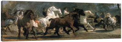 Study For The Horsemarket, 1852-54 Canvas Art Print - Rosa Bonheur