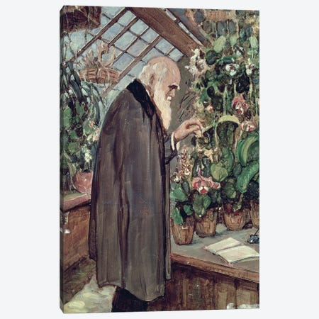 Charles Robert Darwin  Canvas Print #BMN274} by John Collier Canvas Art