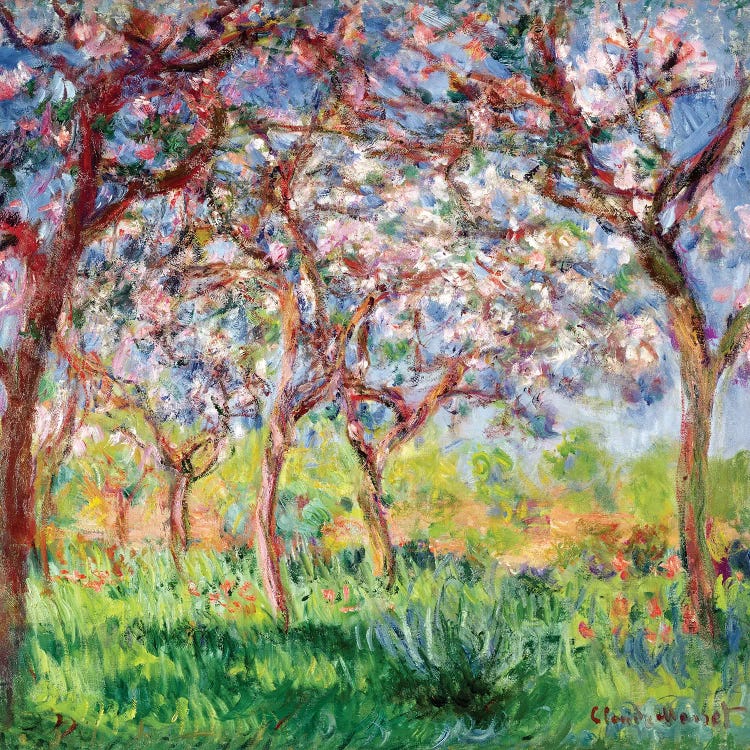 Printemps a Giverny, 1903 