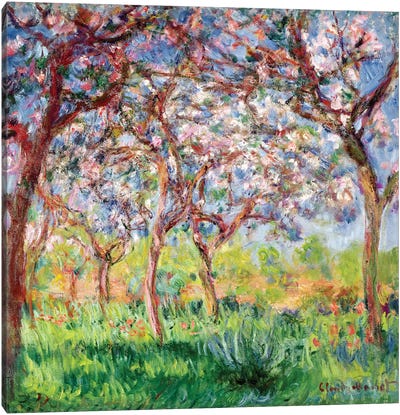 Printemps a Giverny, 1903  Canvas Art Print - Claude Monet