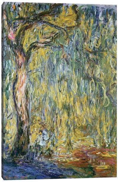 The Large Willow at Giverny, 1918  Canvas Art Print - Claude Monet