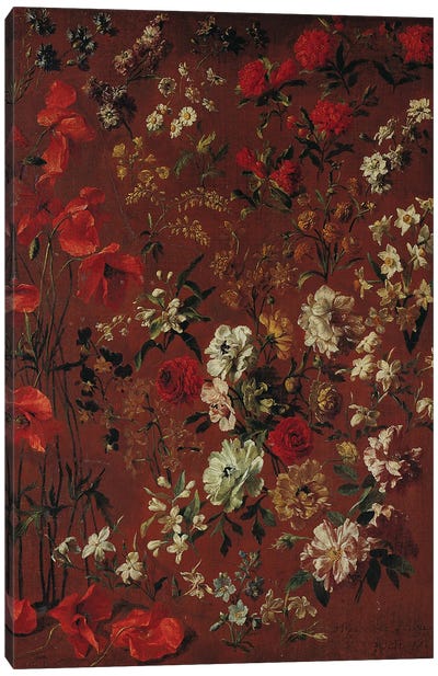 Study of Flowers, 1720  Canvas Art Print