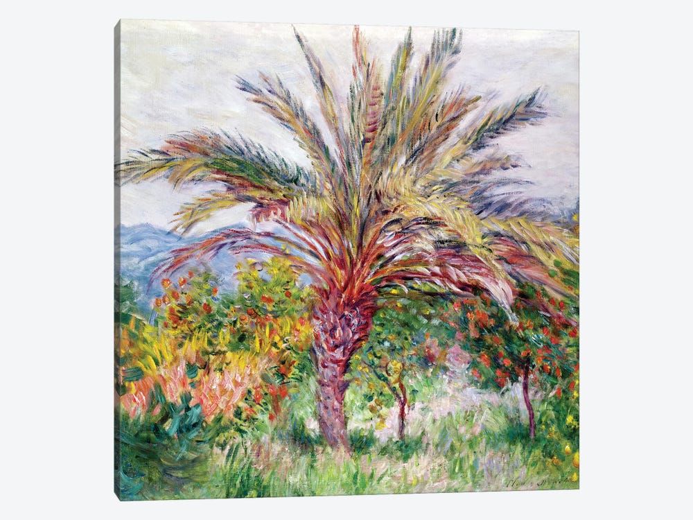 Palm Tree at Bordighera, c.1884  by Claude Monet 1-piece Canvas Art
