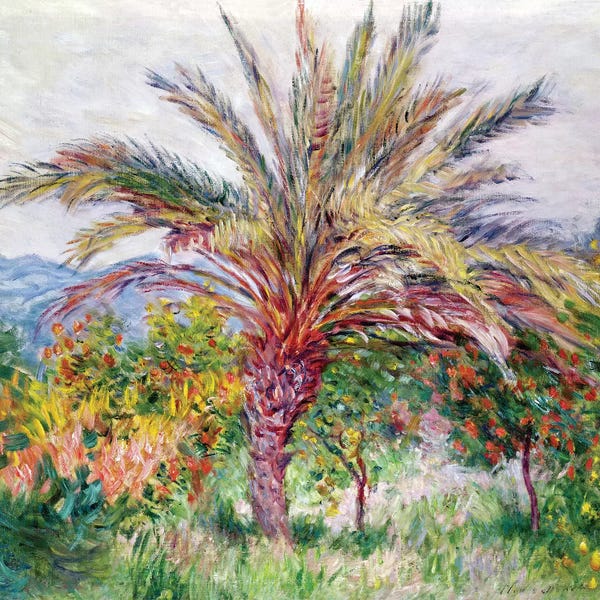 Claude Monet: Palm Tree at Bordighera, c.1884  by Claude Monet