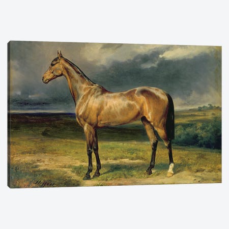 Abdul Medschid' the chestnut arab horse, 1855  Canvas Print #BMN2855} by Carl Constantin Steffeck Canvas Art