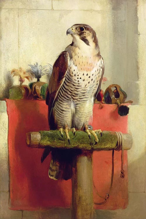 Falcon, 1837 