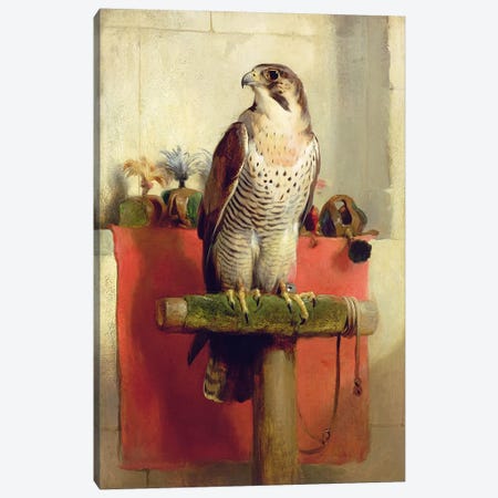 Falcon, 1837  Canvas Print #BMN2858} by Sir Edwin Landseer Canvas Art Print