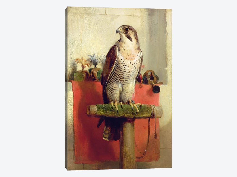 Falcon, 1837  by Sir Edwin Landseer 1-piece Art Print