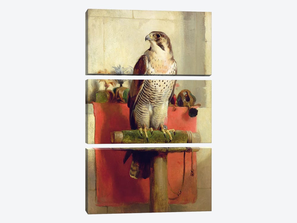 Falcon, 1837  by Sir Edwin Landseer 3-piece Art Print