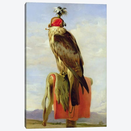Hooded Falcon  Canvas Print #BMN2859} by Sir Edwin Landseer Canvas Print