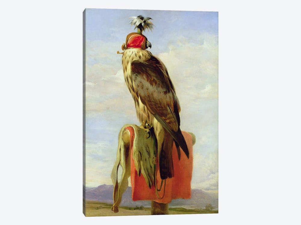 Hooded Falcon  by Sir Edwin Landseer 1-piece Canvas Artwork
