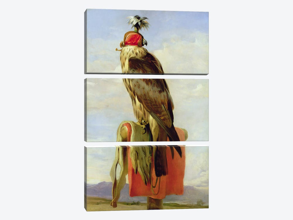 Hooded Falcon  by Sir Edwin Landseer 3-piece Canvas Wall Art