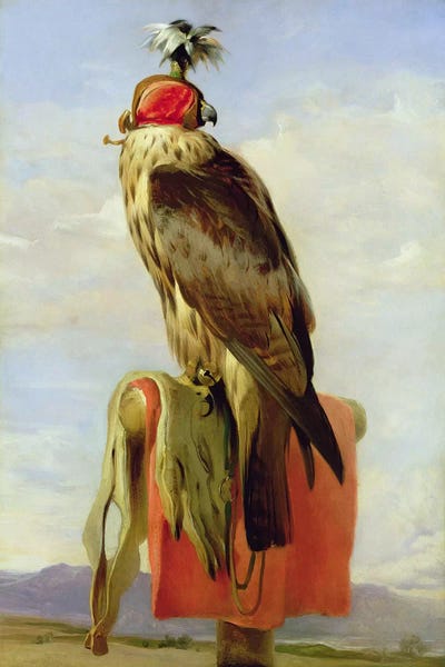 Sir Edwin Landseer: Hooded Falcon  by Sir Edwin Landseer