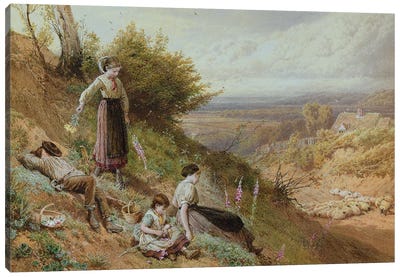 The Hillside  Canvas Art Print