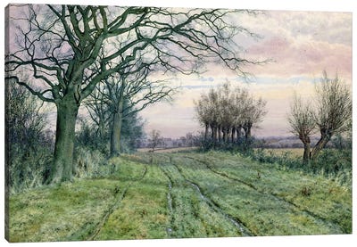 A Fenland Lane with Pollarded Willows, 1887  Canvas Art Print