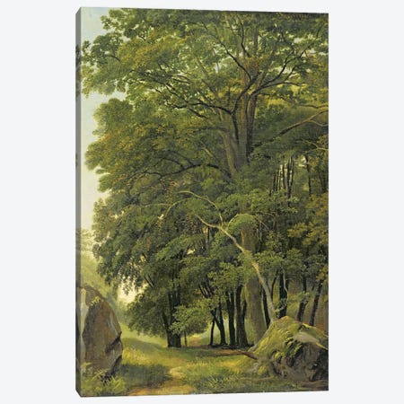A Wooded Landscape  Canvas Print #BMN2871} by Ramsay Richard Reinagle Art Print