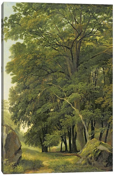 A Wooded Landscape  Canvas Art Print