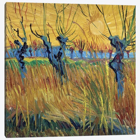 Pollarded Willows and Setting Sun, 1888  Canvas Print #BMN290} by Vincent van Gogh Art Print