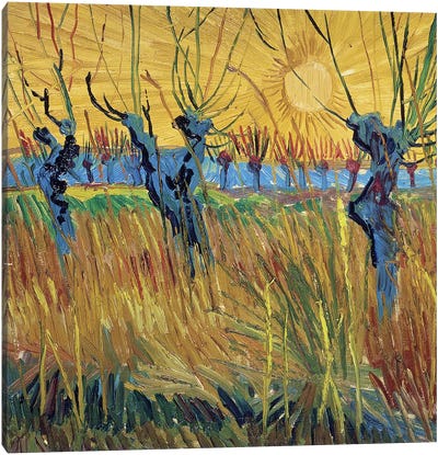 Pollarded Willows and Setting Sun, 1888  Canvas Art Print - Vincent van Gogh